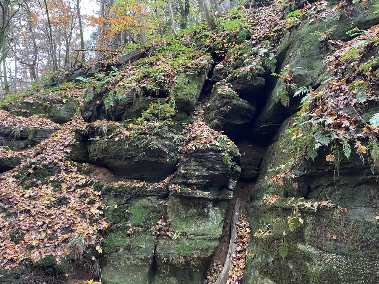Foto bij Mullerthal Trail: Route B2