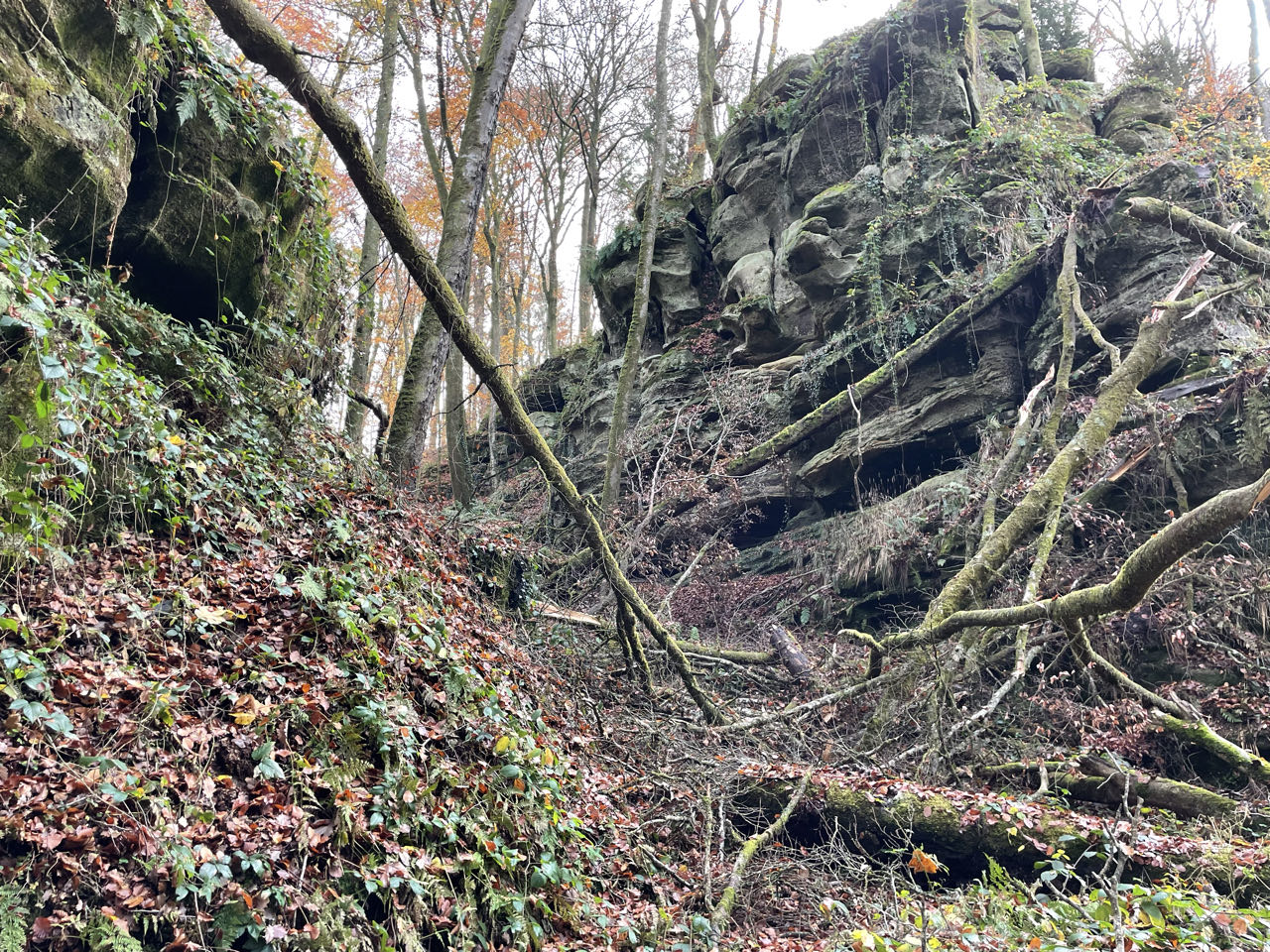 Foto bij Mullerthal Trail: Route E1