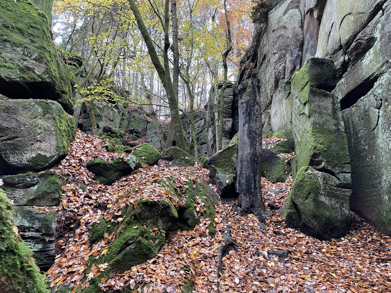 Foto bij Mullerthal Trail: Route B2