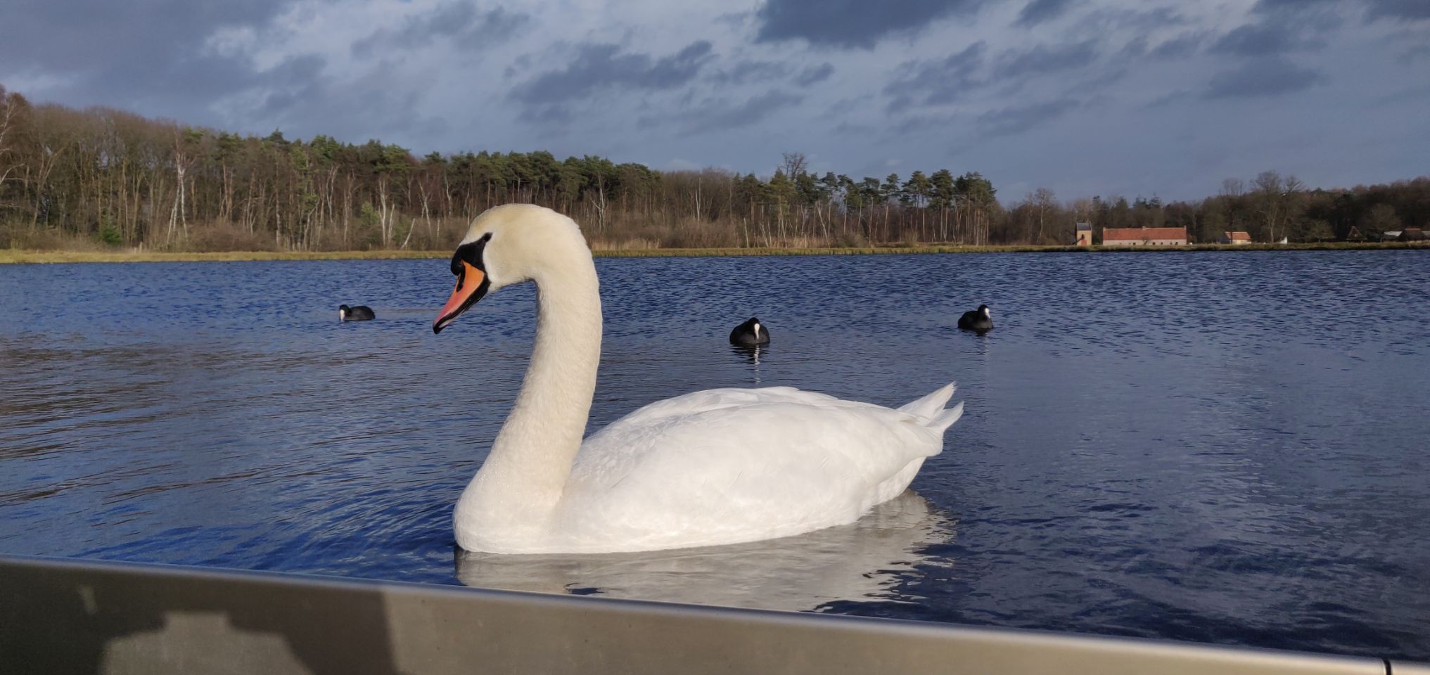 Foto bij Bokrijk