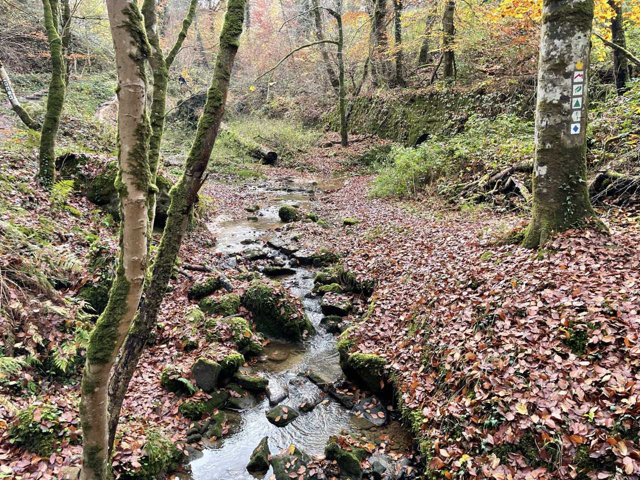 Foto bij Mullerthal Trail: Route E1