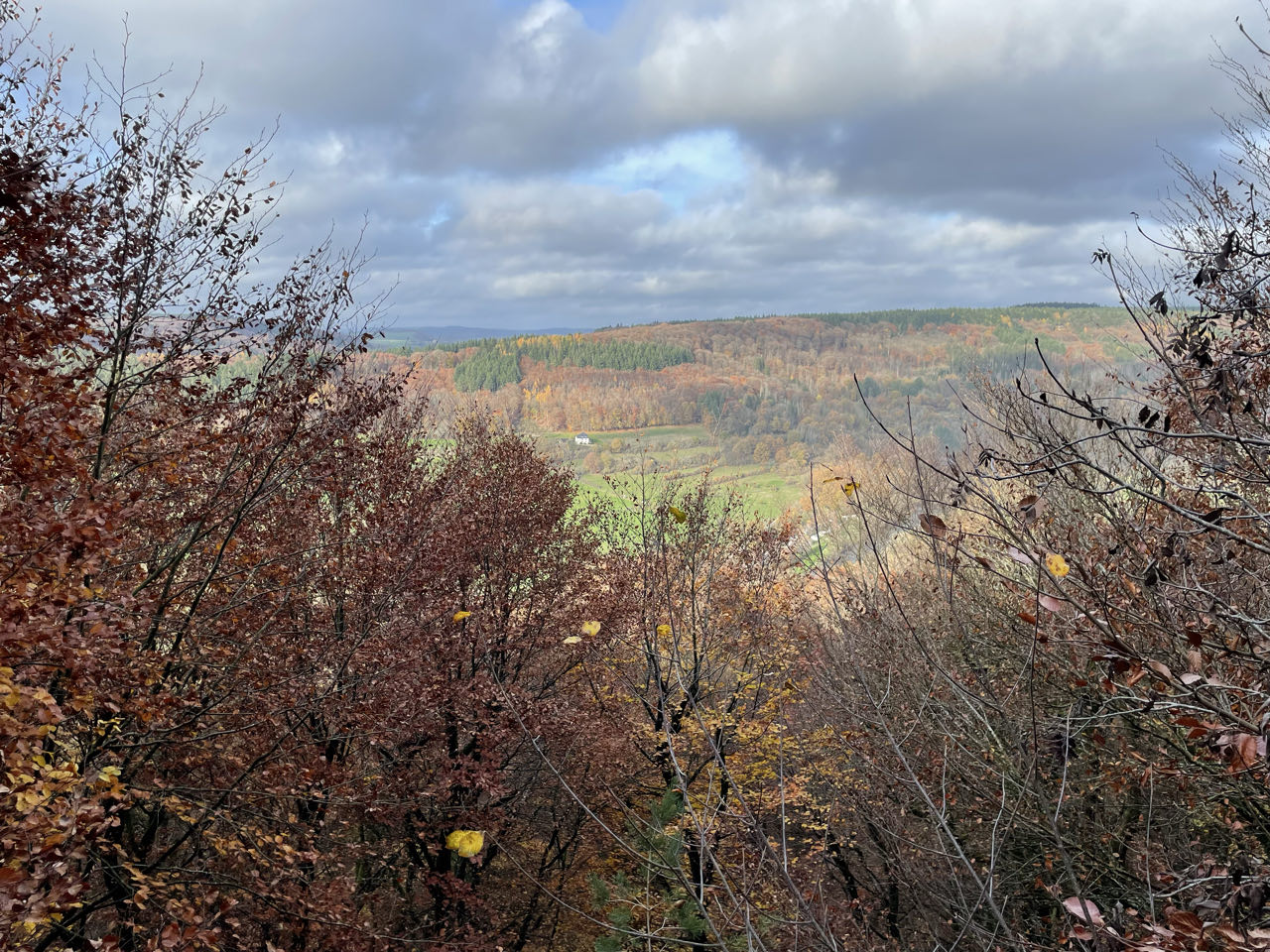 Foto bij Mullerthal Trail: Route B2