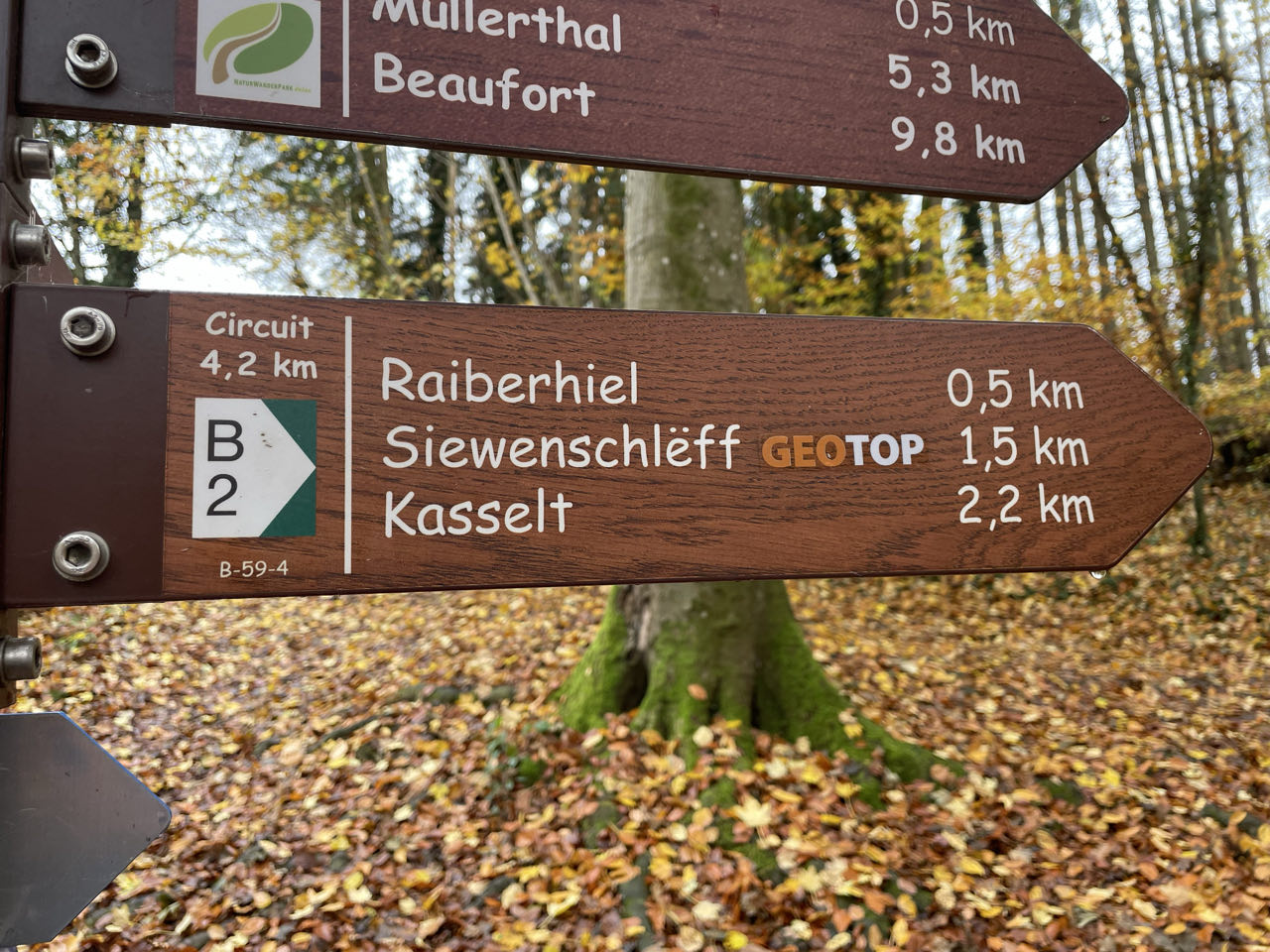 Foto bij Mullerthal Trail: Route B2