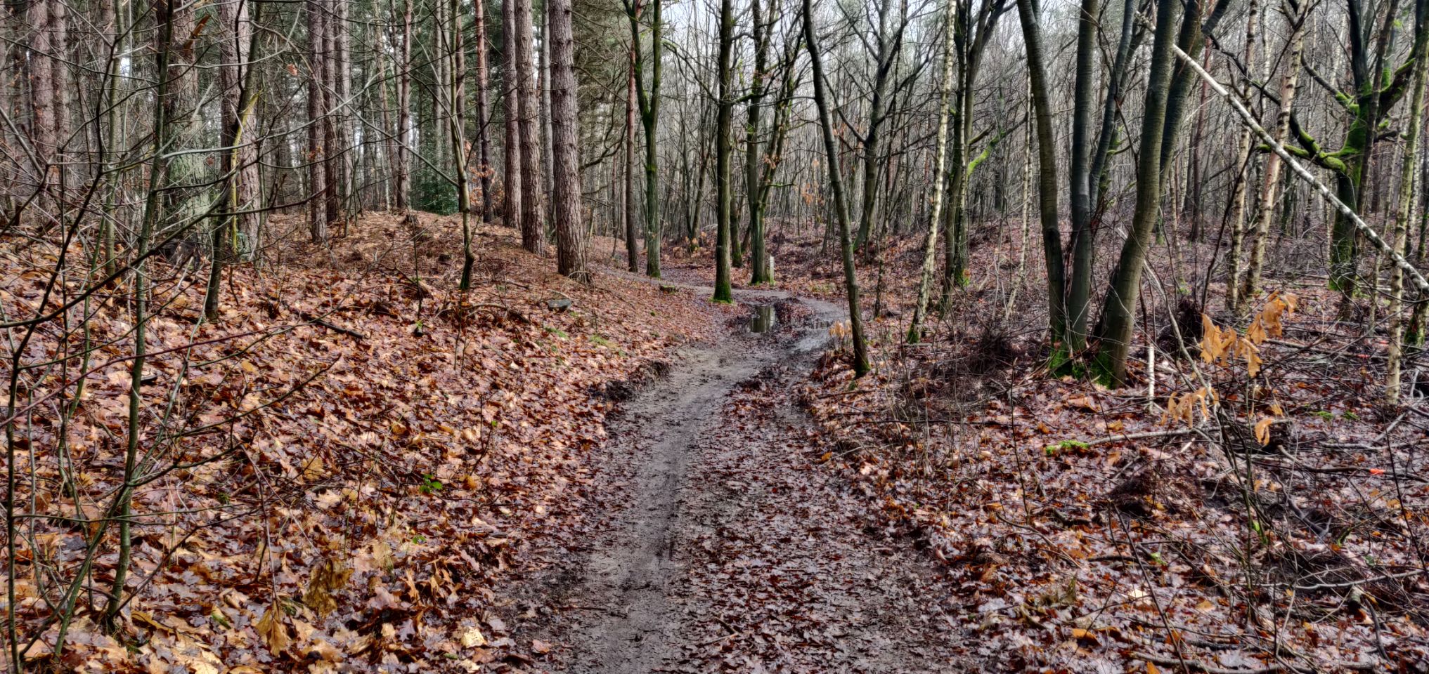 Foto bij Meeuwen-Gruitrode