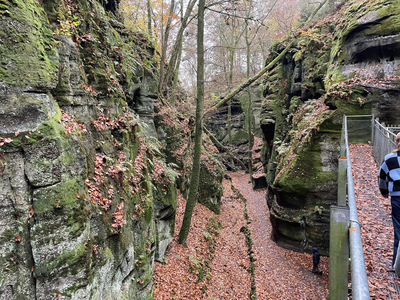 Foto bij Mullerthal Trail: Route B2
