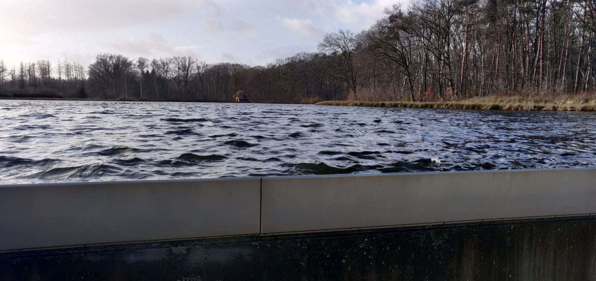 Foto bij Bokrijk