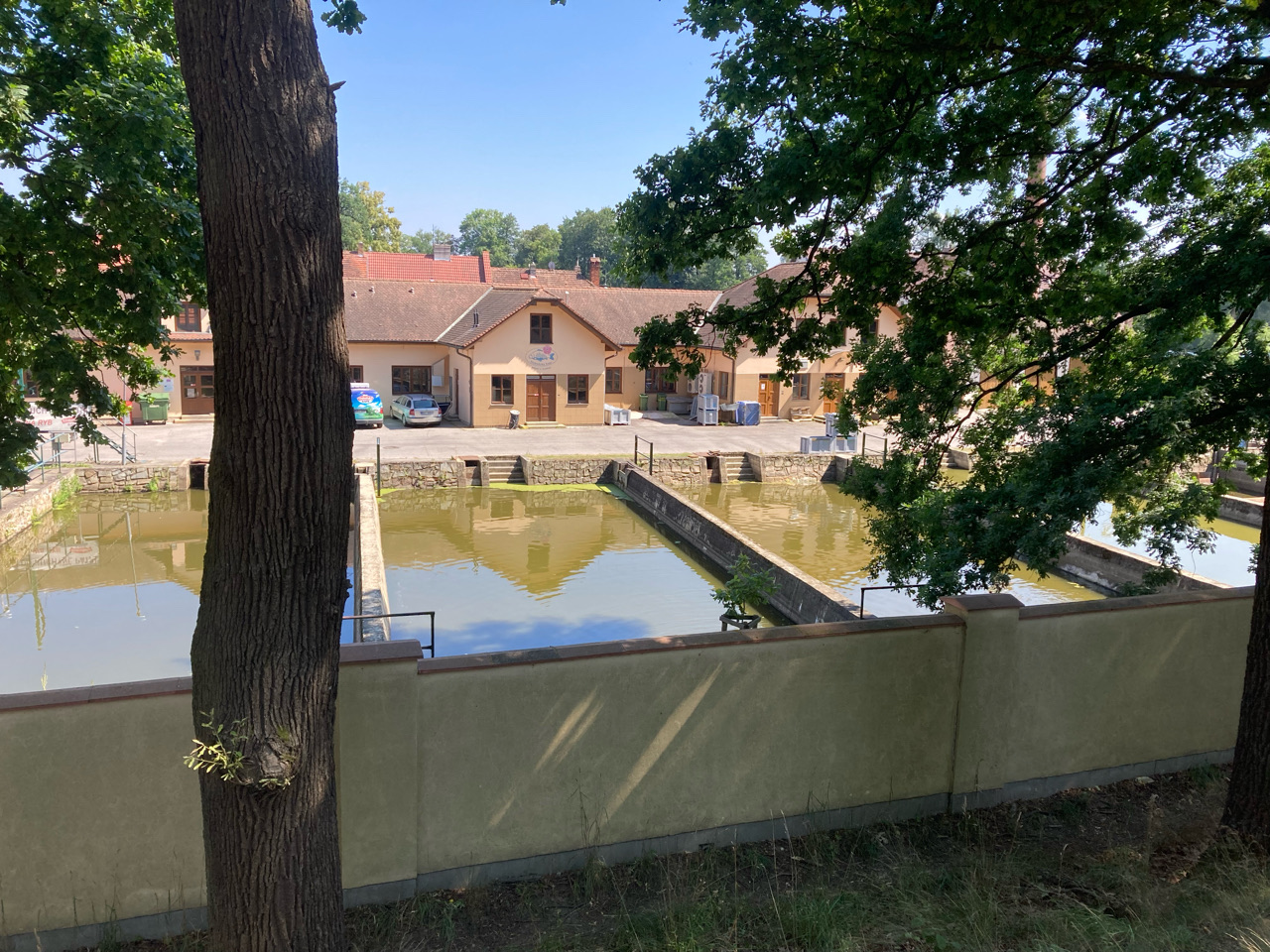 Foto bij Třeboň