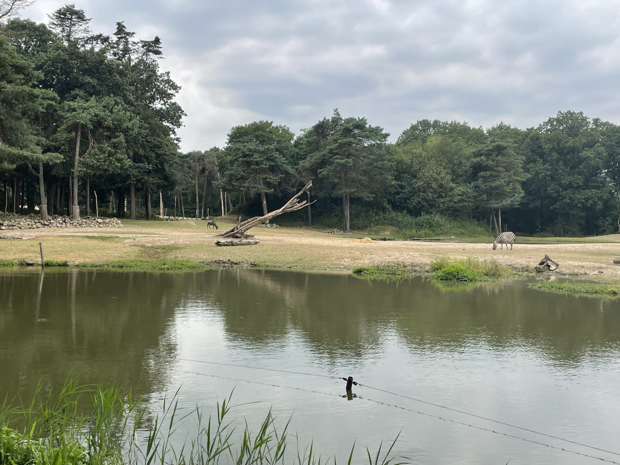 Foto bij Arnhem