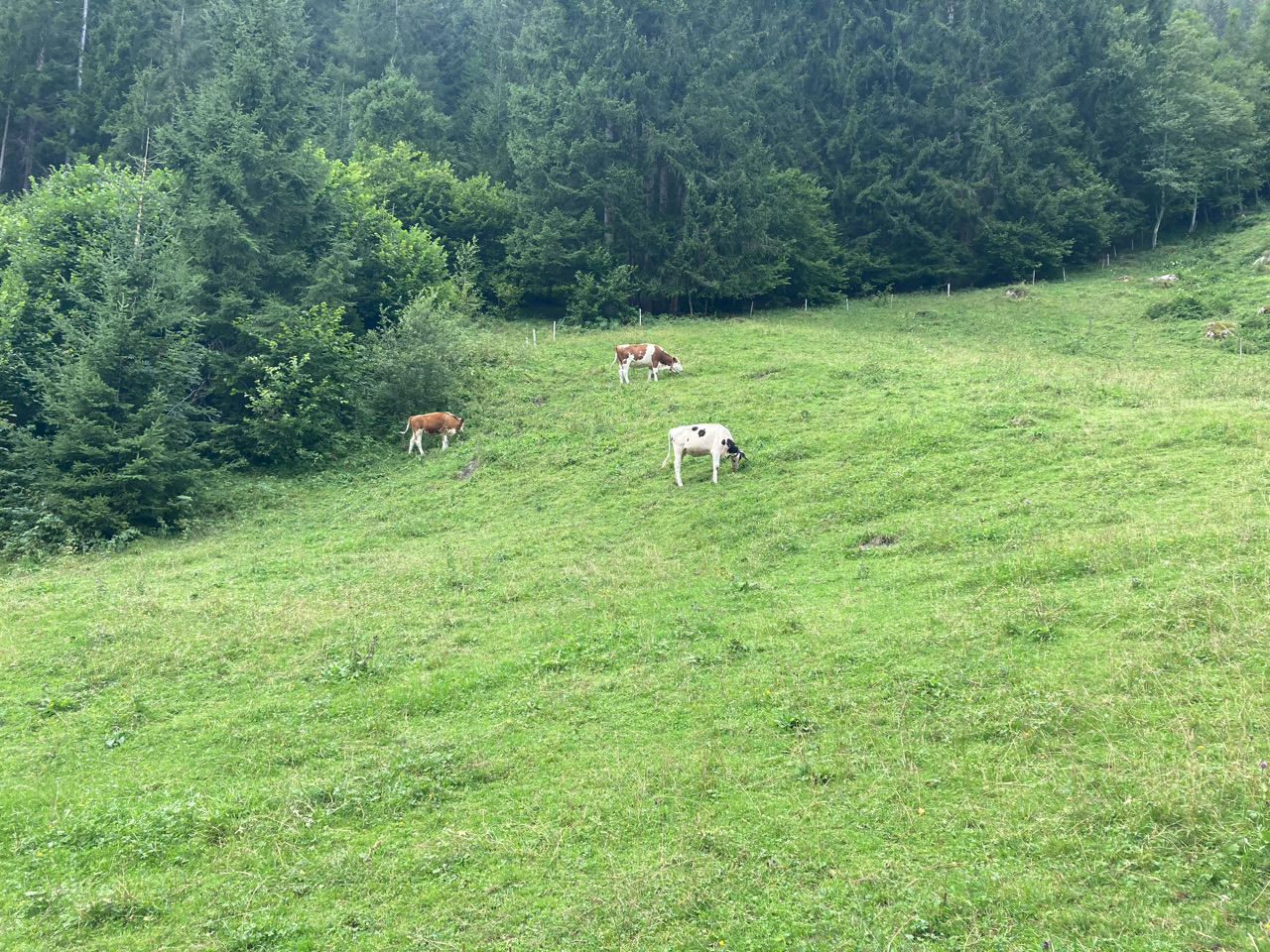 Foto bij Neukirchen am Großvenediger