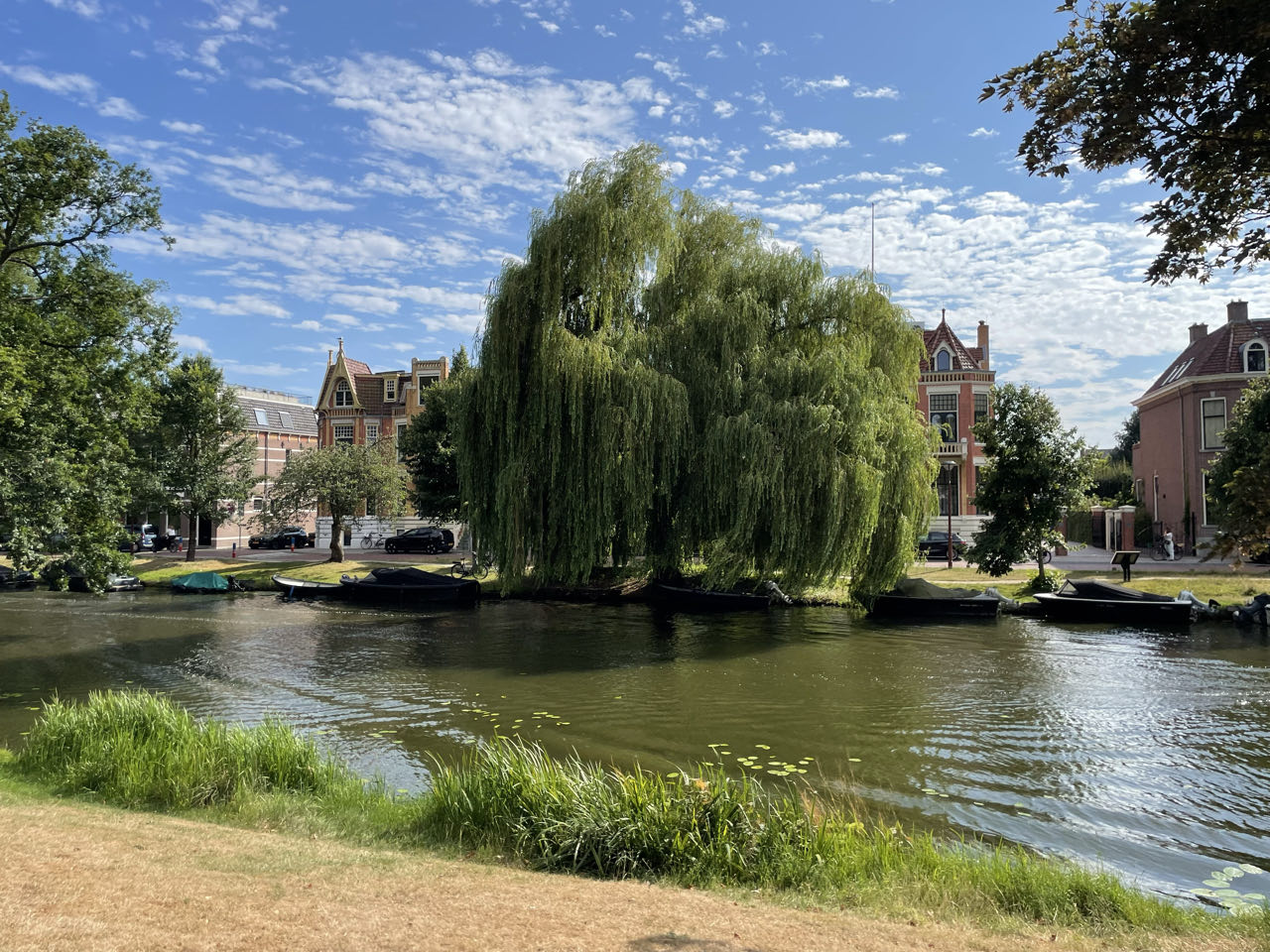 Foto bij Alkmaar