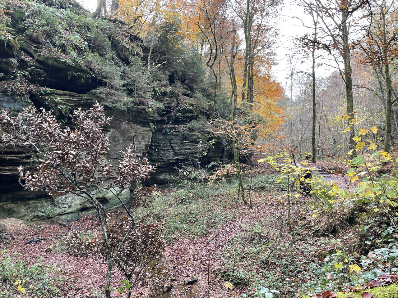 Foto bij Mullerthal Trail: Route E1