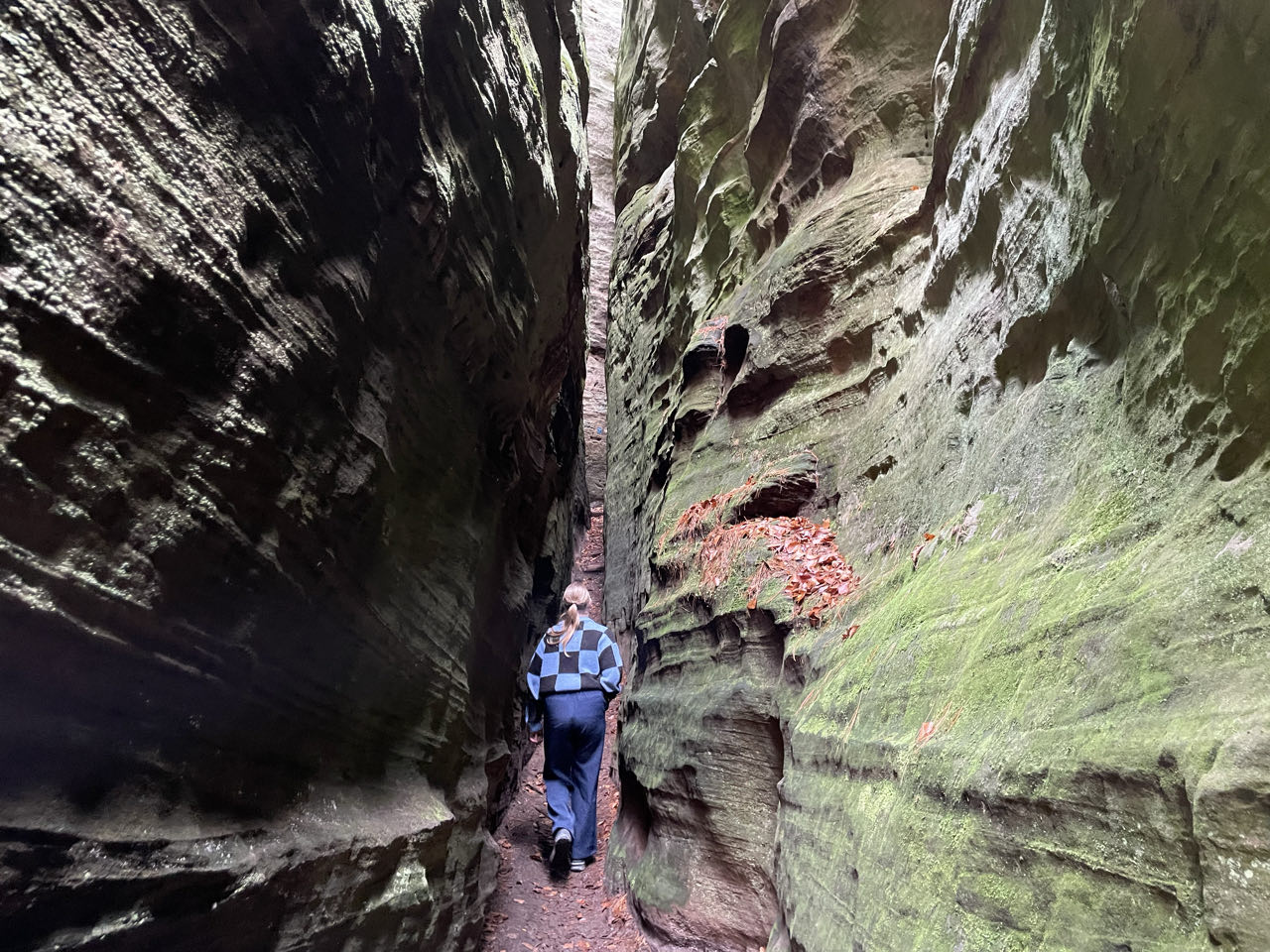 Foto bij Mullerthal Trail: Route B2