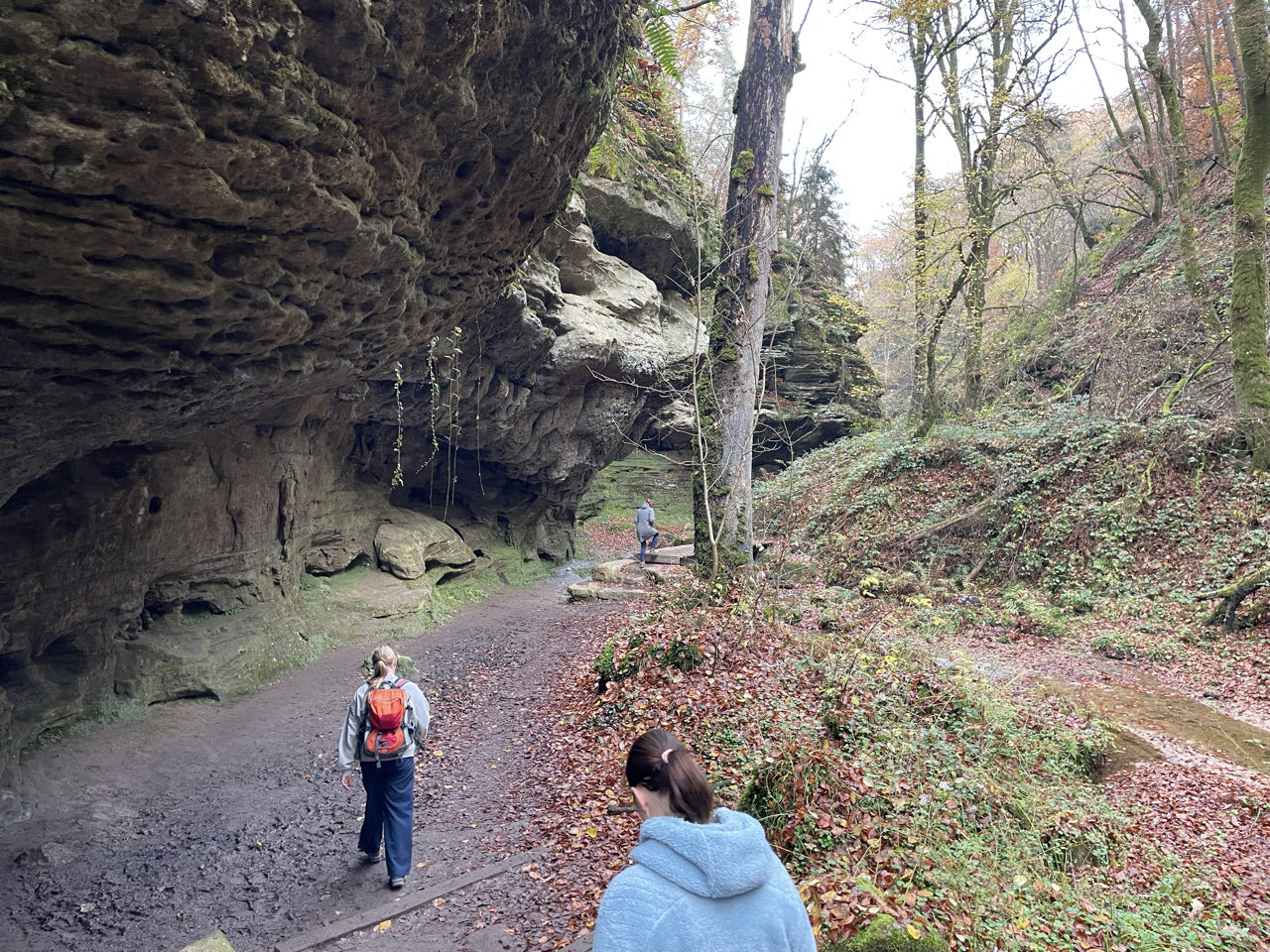 Foto bij Mullerthal Trail: Route E1