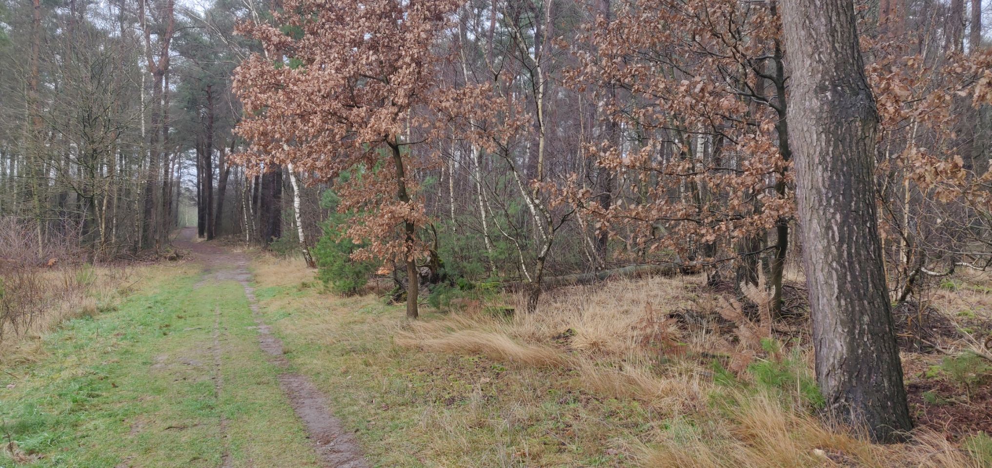 Foto bij Meeuwen-Gruitrode