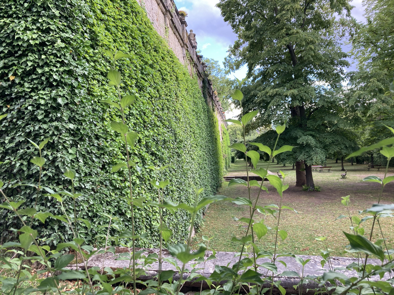 Foto bij Würzburg