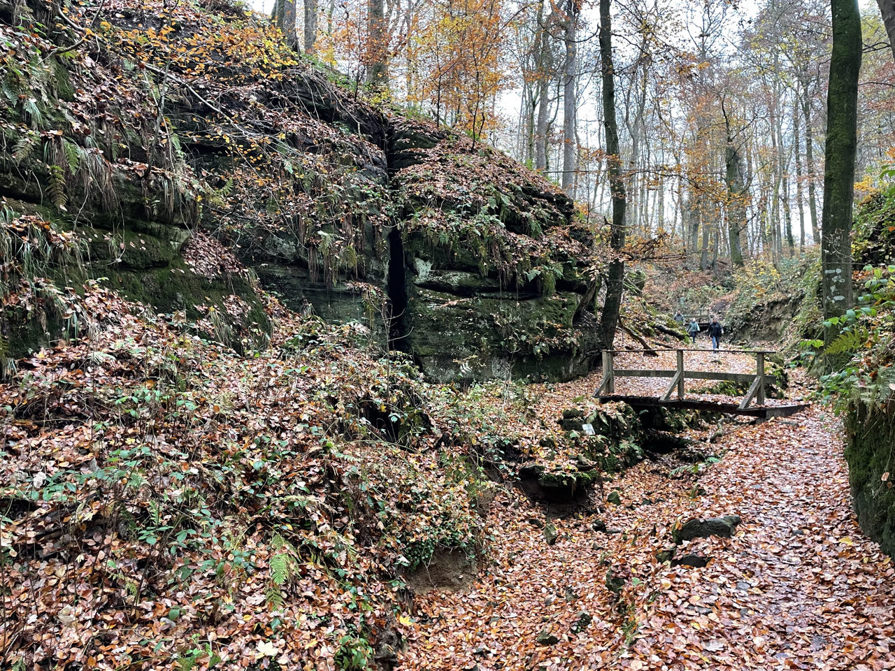 Foto bij Mullerthal Trail: Route B2