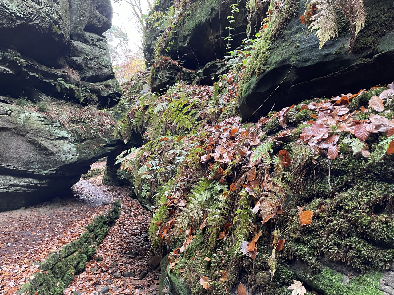 Foto bij Mullerthal Trail: Route B2