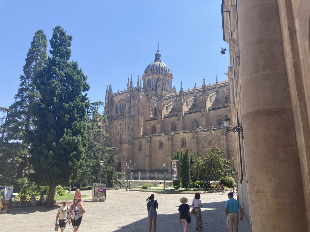 Foto bij Salamanca