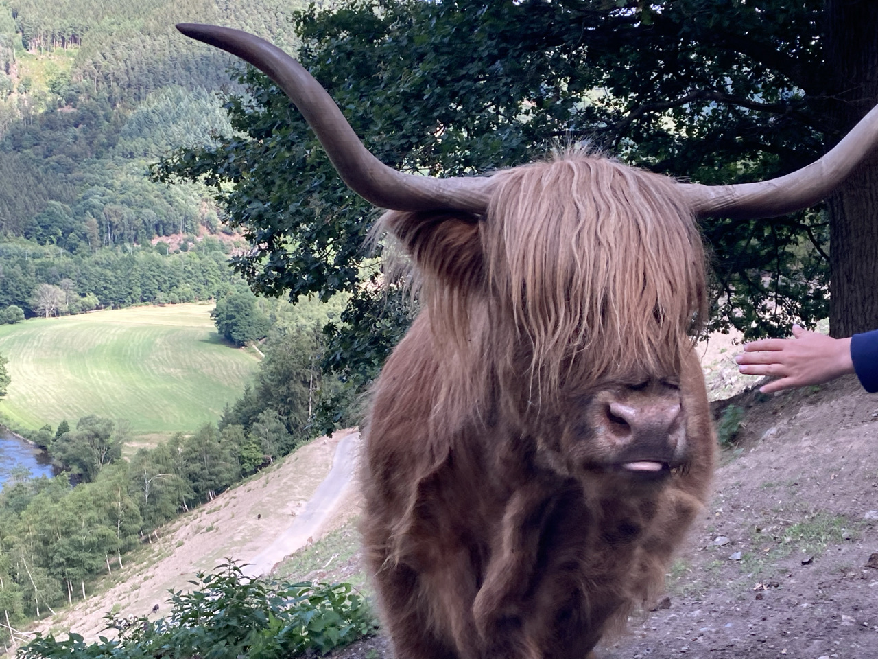 Foto bij Stavelot