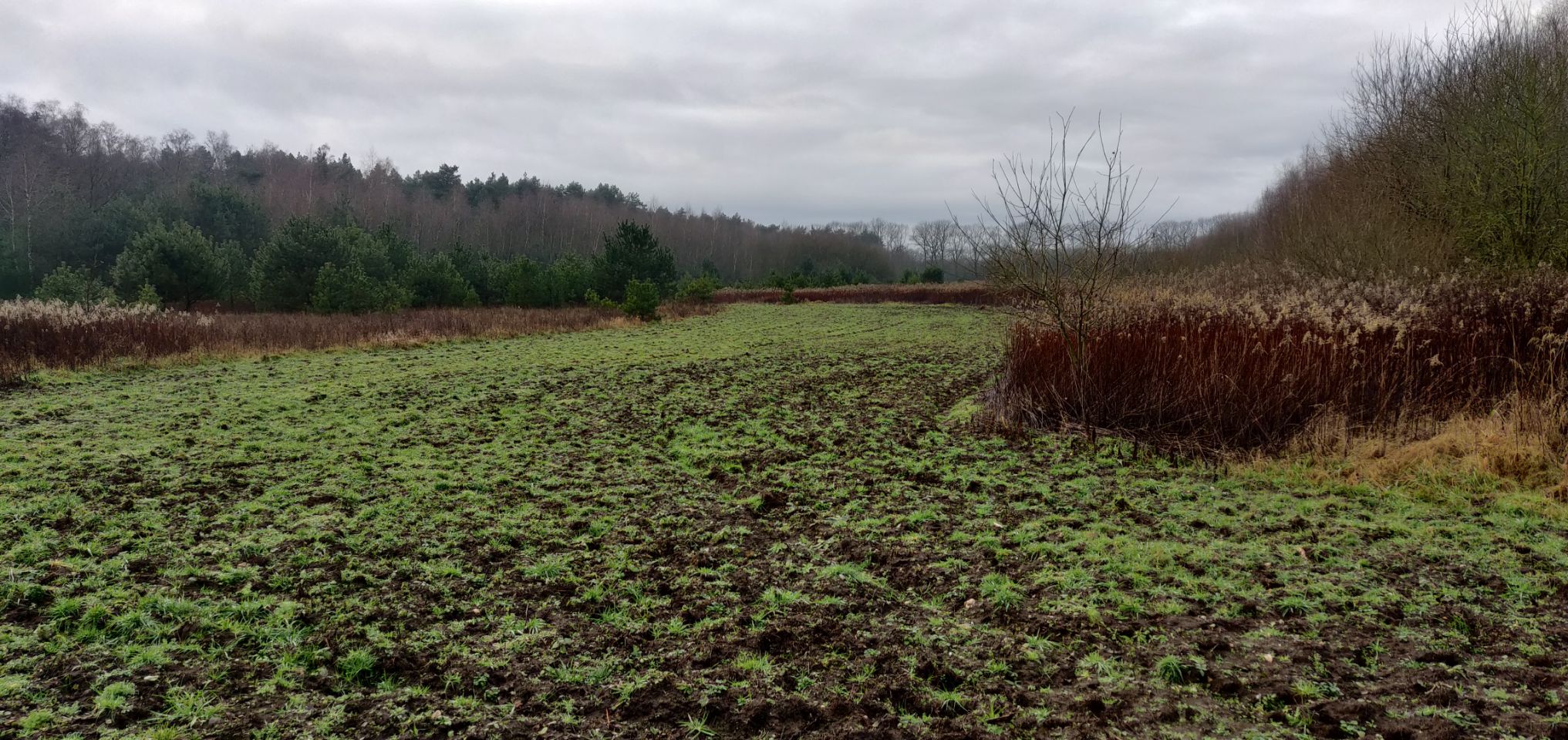 Foto bij Meeuwen-Gruitrode