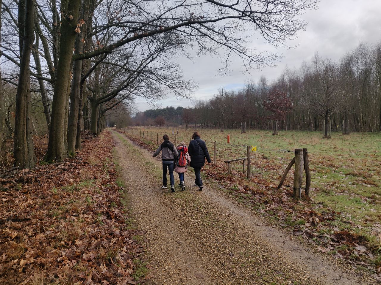 Foto bij Meeuwen-Gruitrode