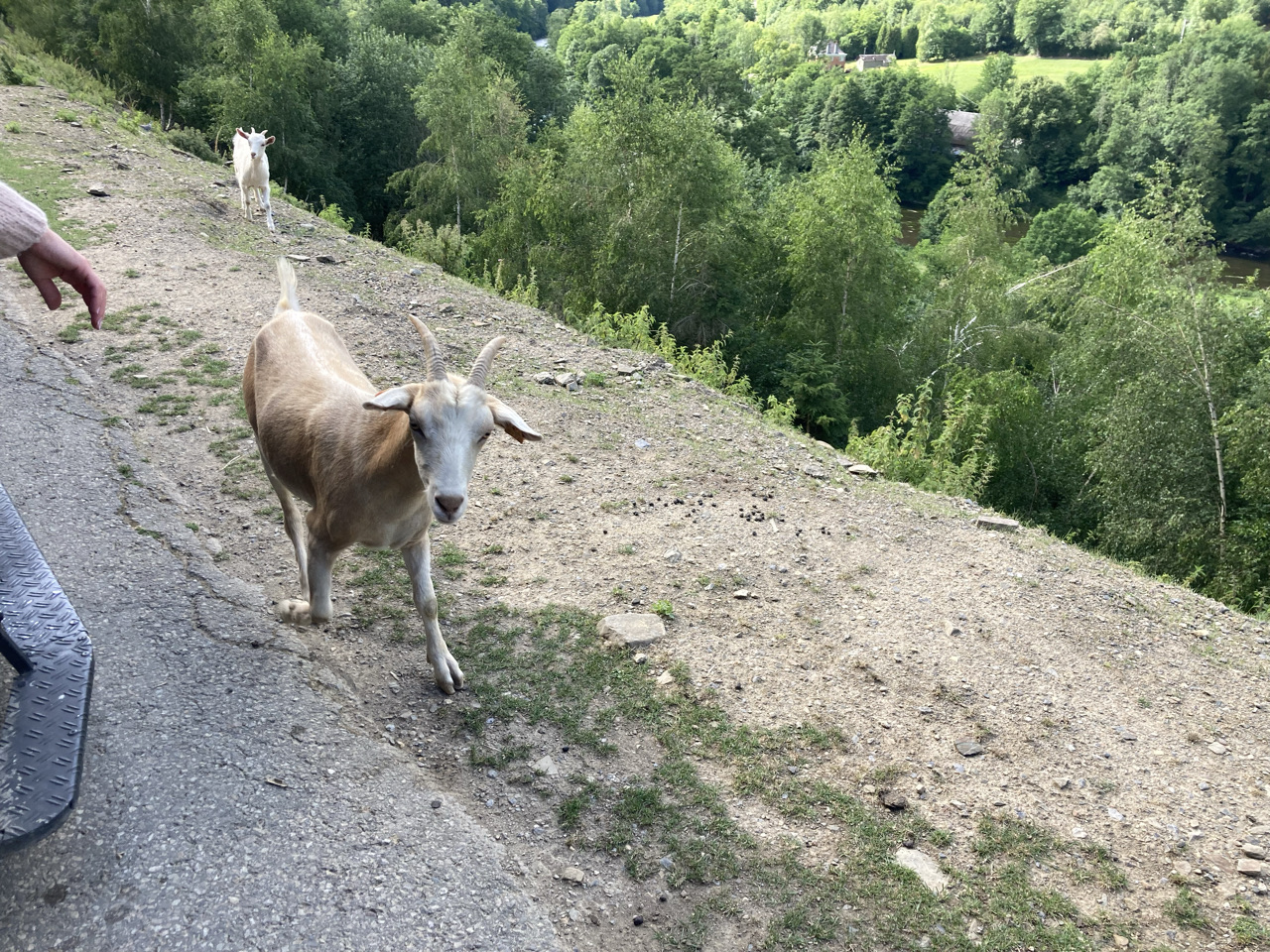 Foto bij Stavelot
