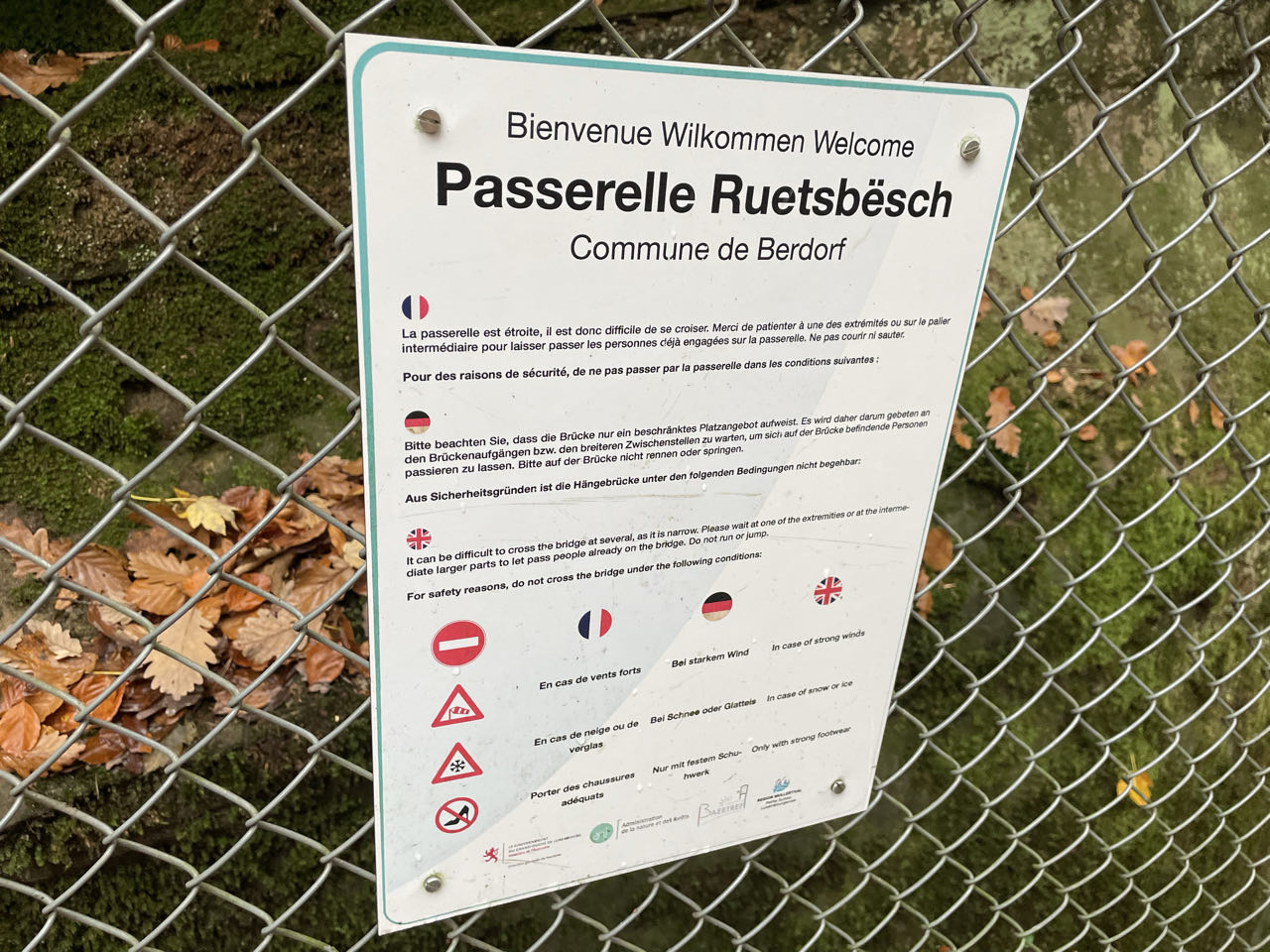 Foto bij Mullerthal Trail: Route B2