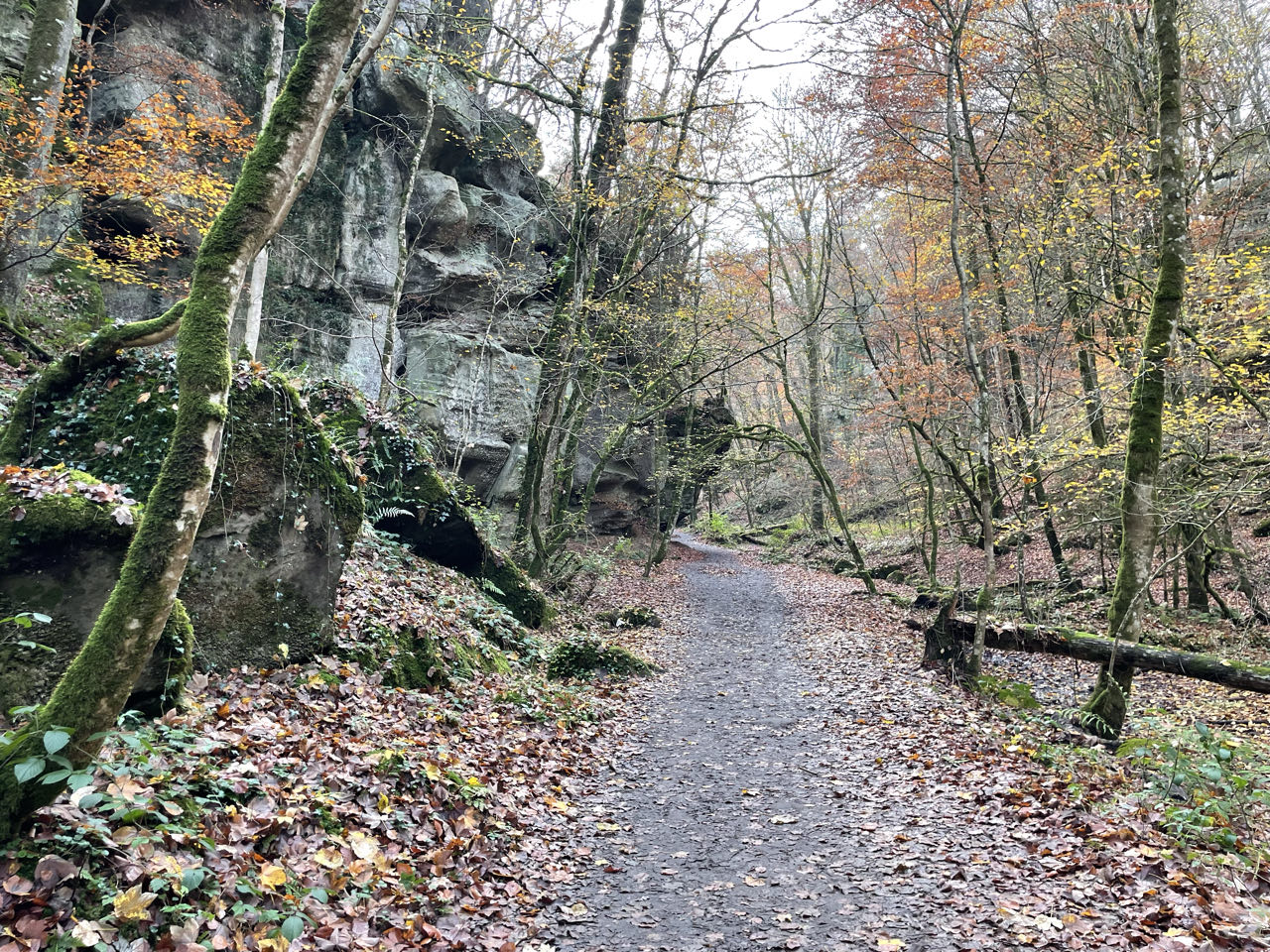 Foto bij Mullerthal Trail: Route E1