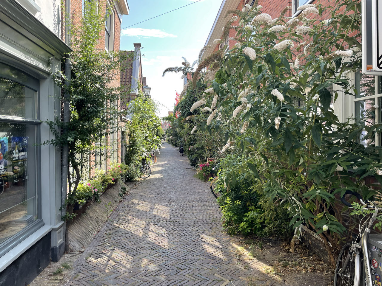 Foto bij Alkmaar