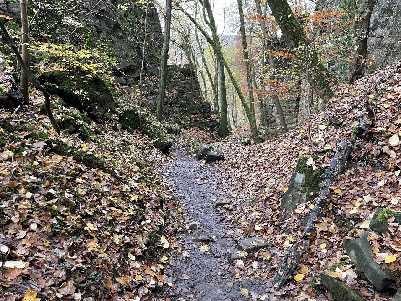 Foto bij Mullerthal Trail: Route E1