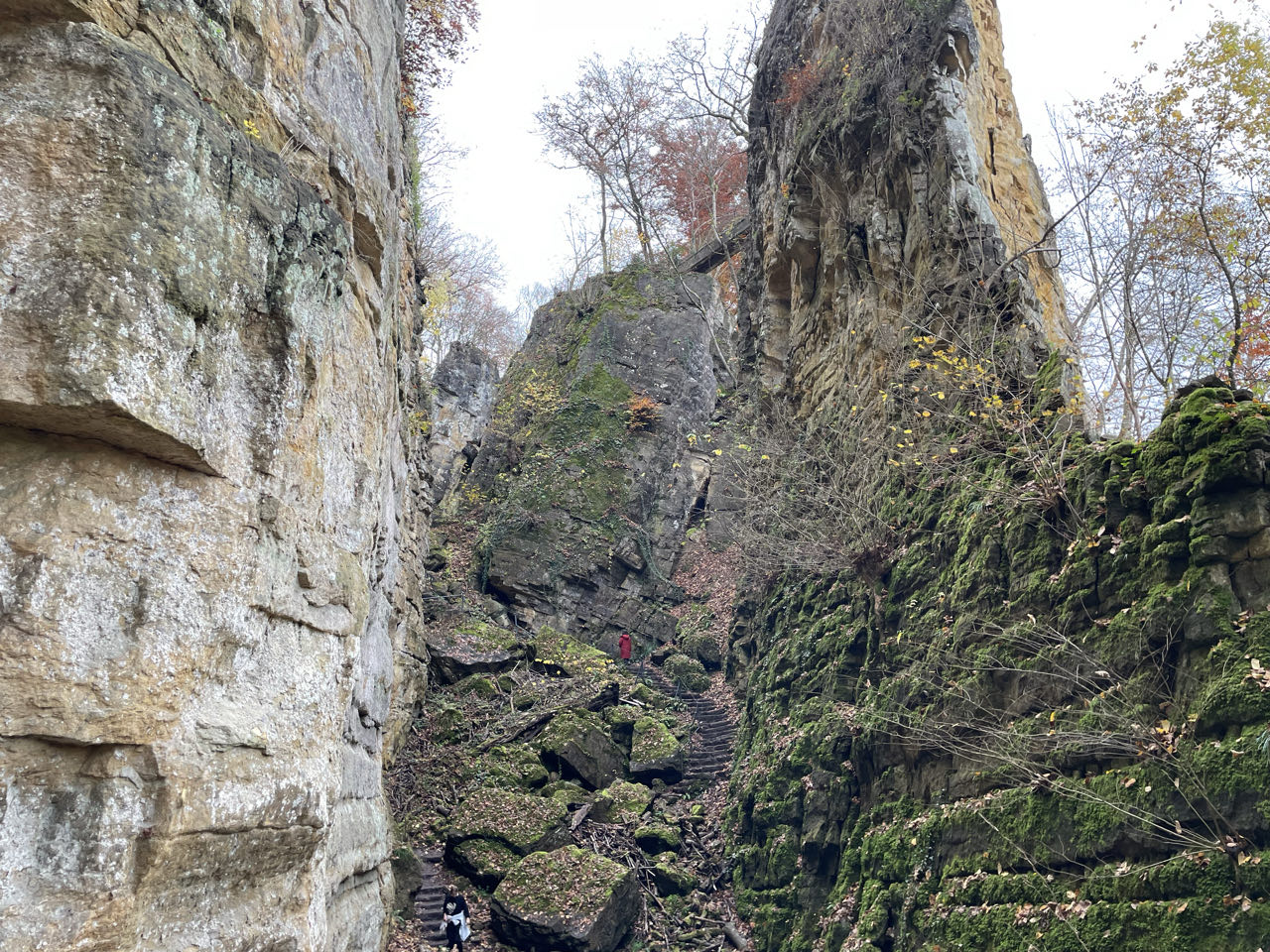 Foto bij Mullerthal Trail: Route E1