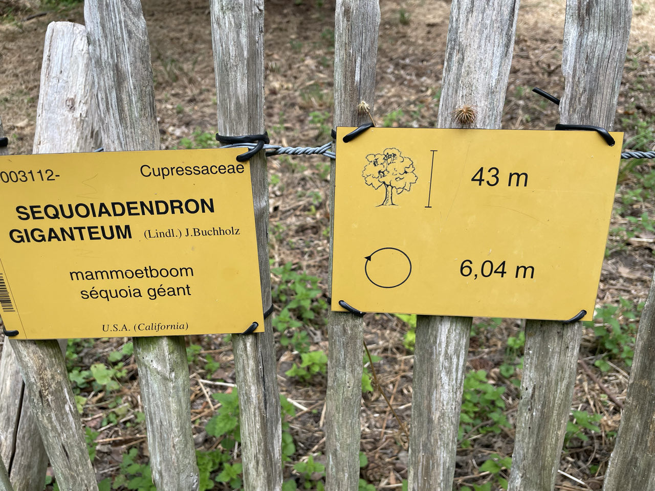 Foto bij Meise