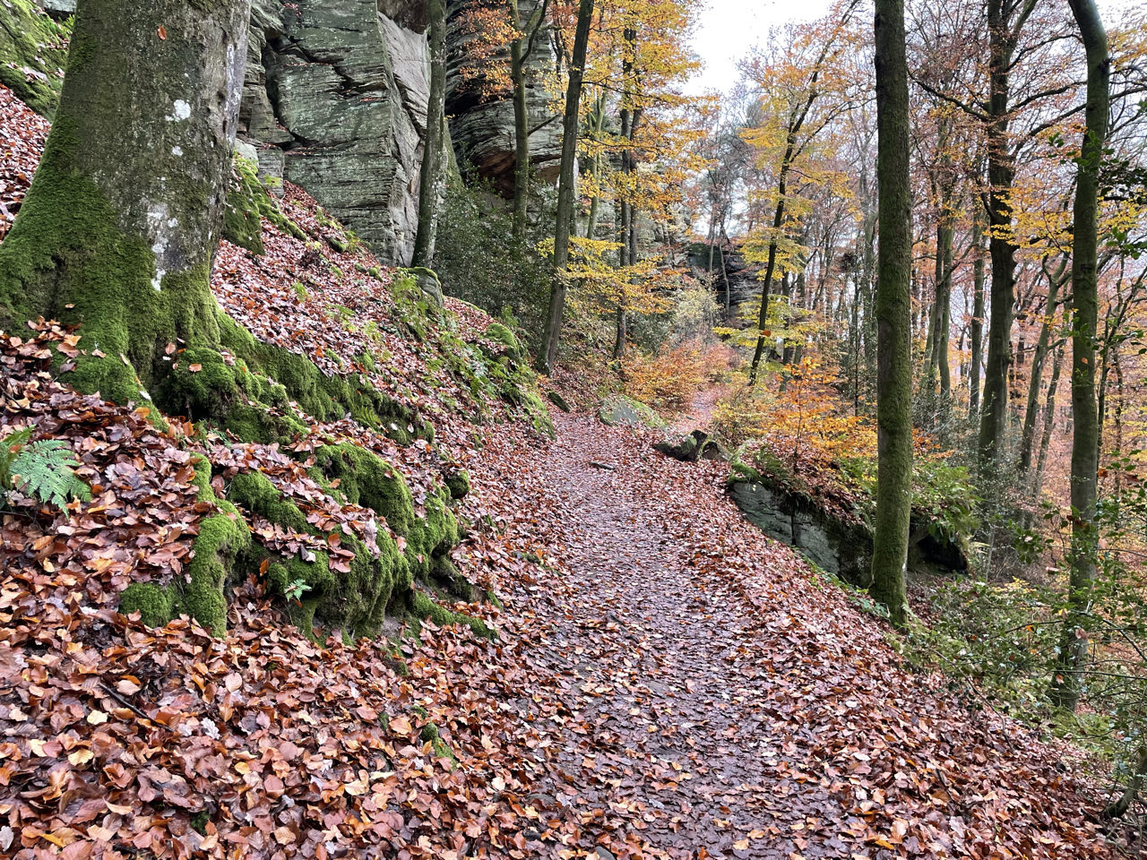 Foto bij Mullerthal Trail: Route B2