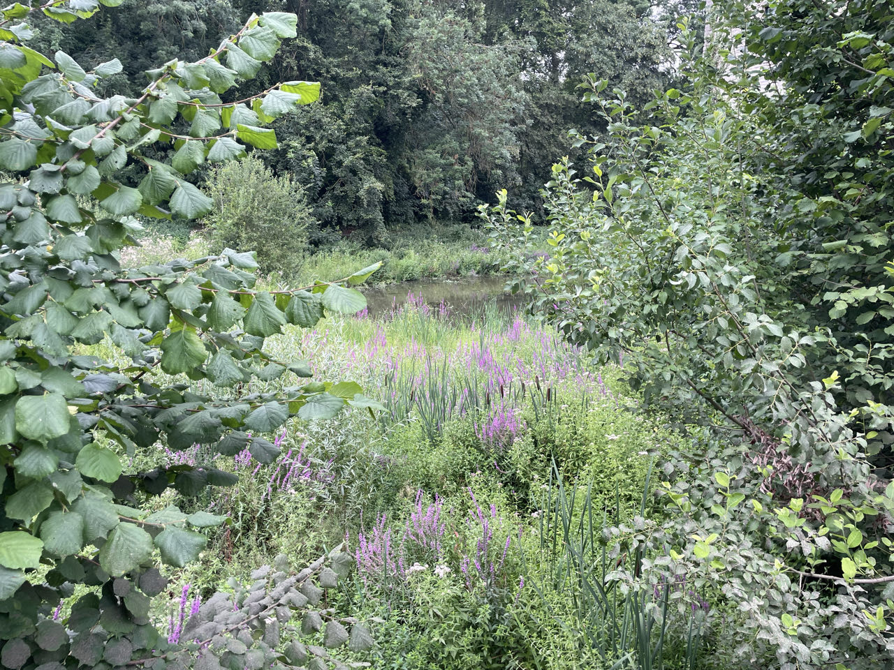 Foto bij Grimbergen