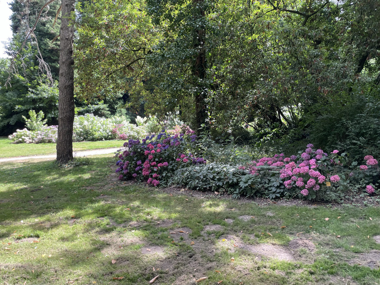 Foto bij Meise