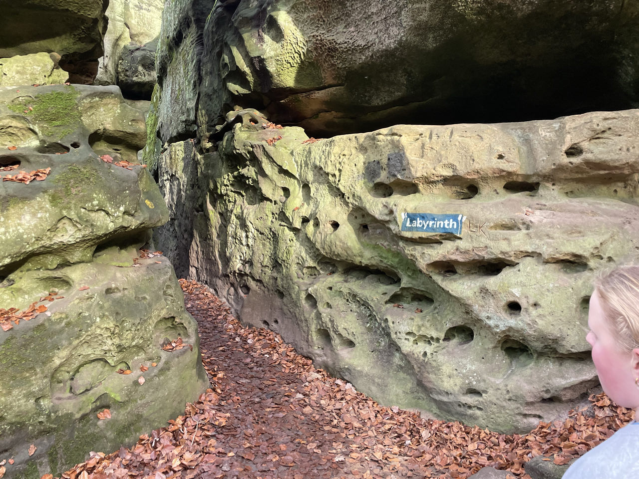 Foto bij Mullerthal Trail: Route E1