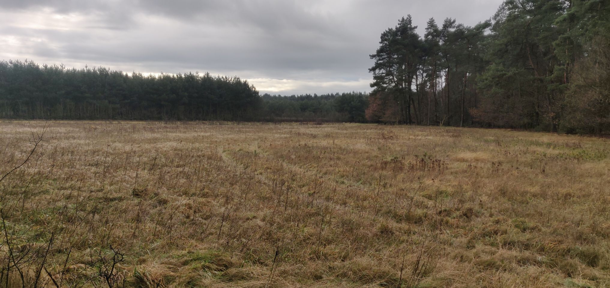 Foto bij Meeuwen-Gruitrode