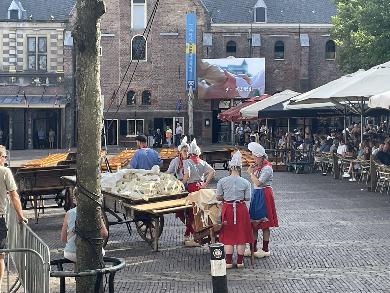 Foto bij Alkmaar