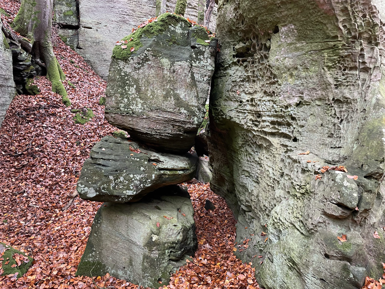 Foto bij Mullerthal Trail: Route B2