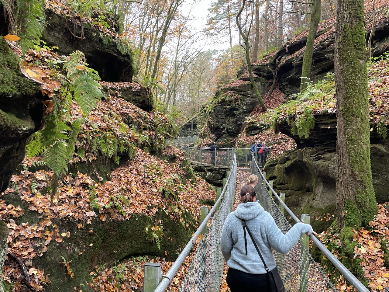 Foto bij Mullerthal Trail: Route B2