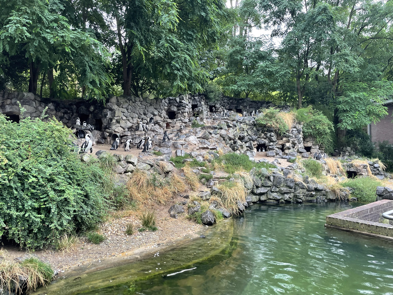Foto bij Arnhem