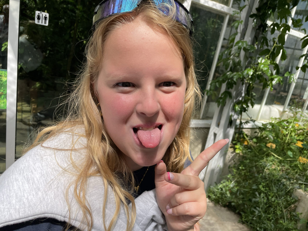 Foto bij Meise
