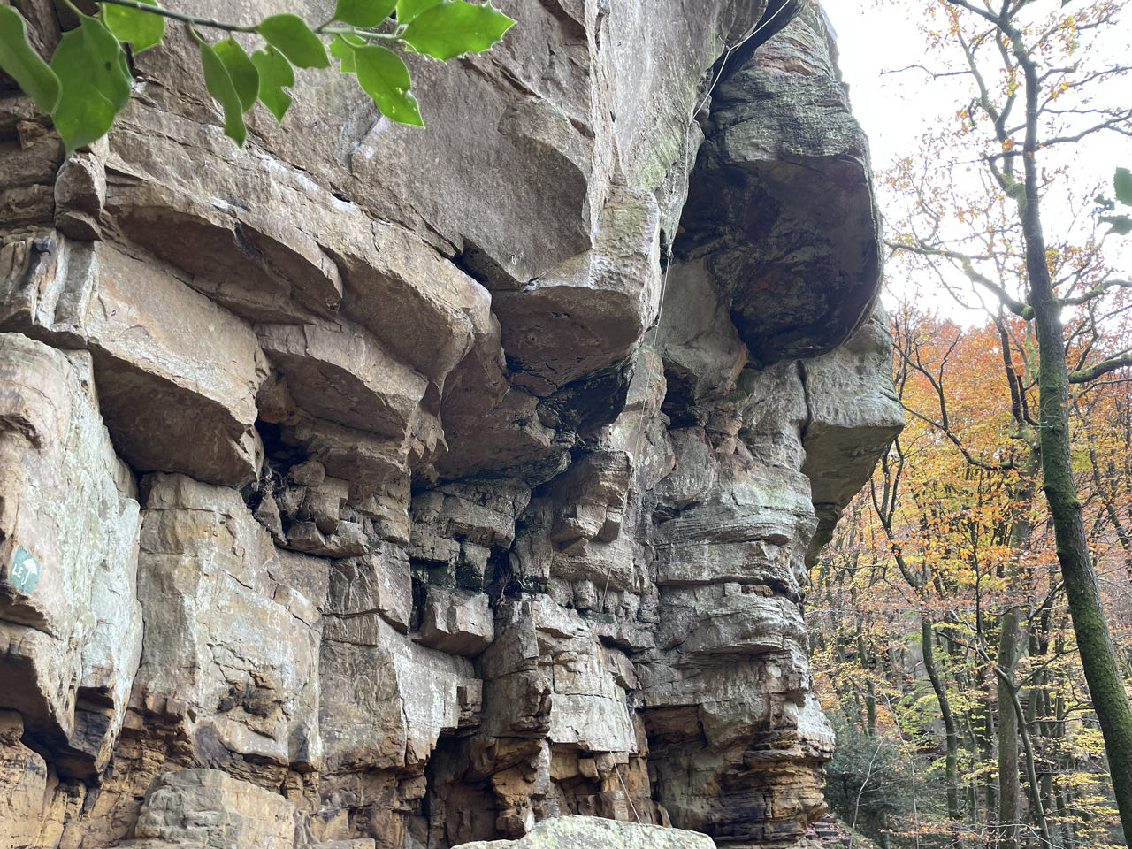 Foto bij Mullerthal Trail: Route B2