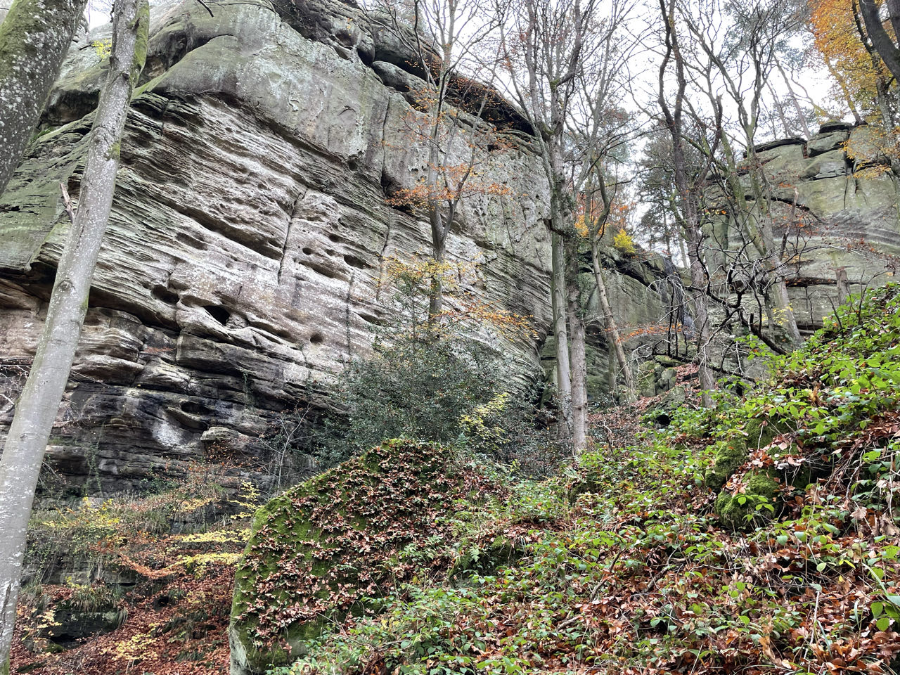 Foto bij Mullerthal Trail: Route B2