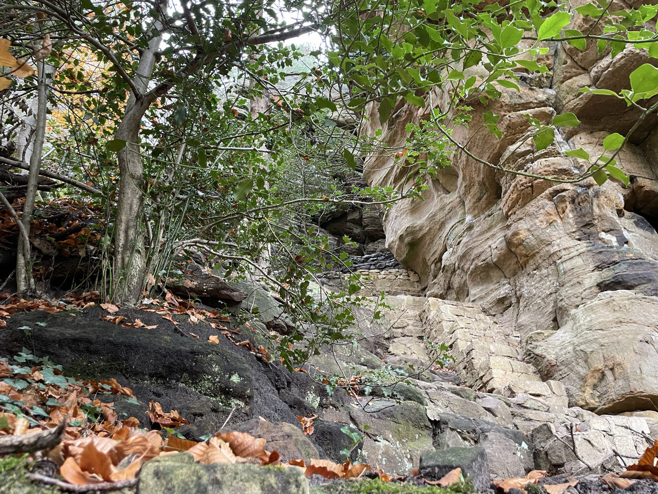 Foto bij Mullerthal Trail: Route B2