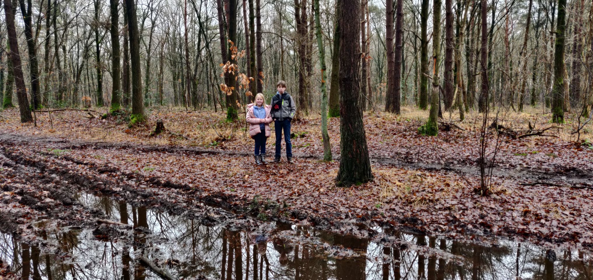 Foto bij Meeuwen-Gruitrode