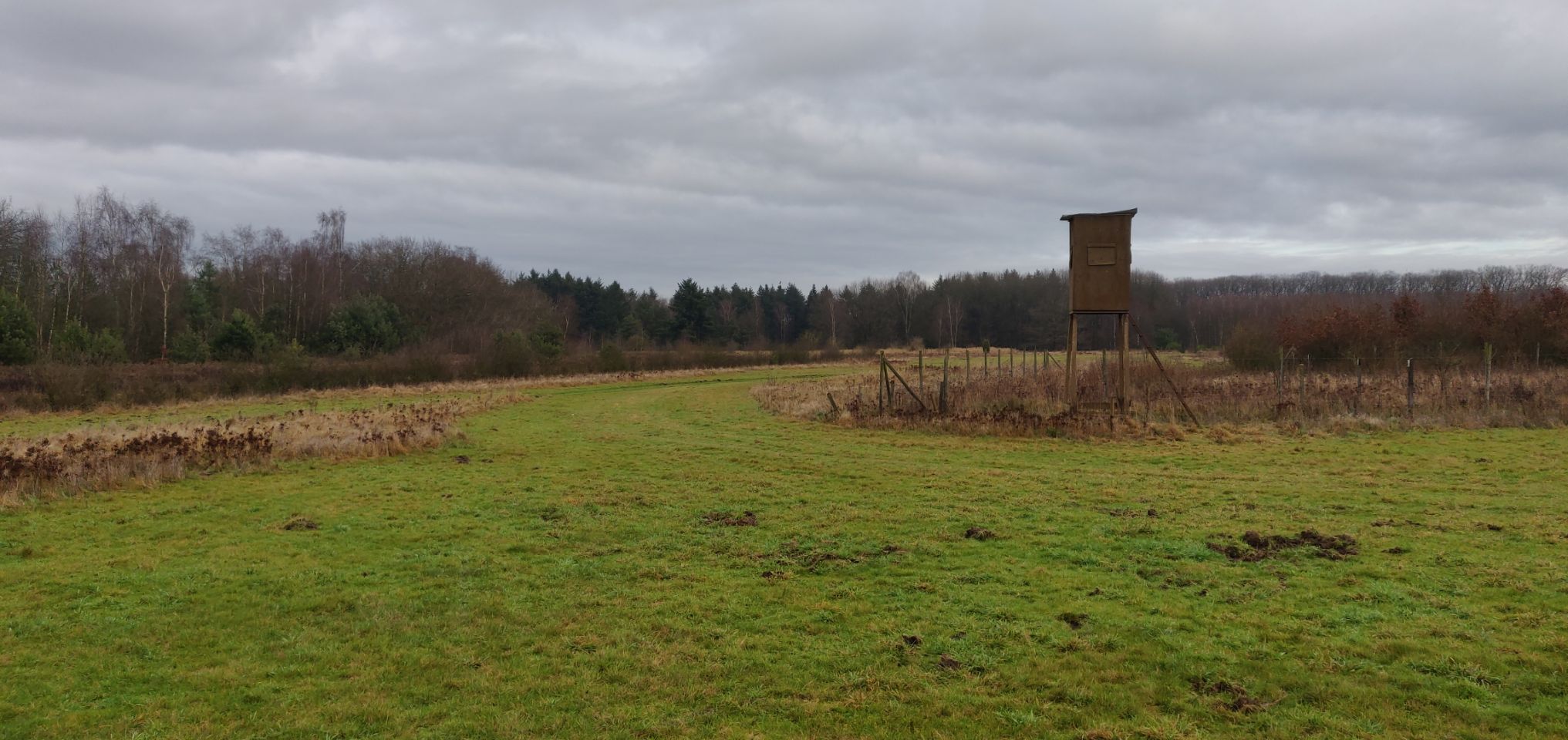 Foto bij Meeuwen-Gruitrode