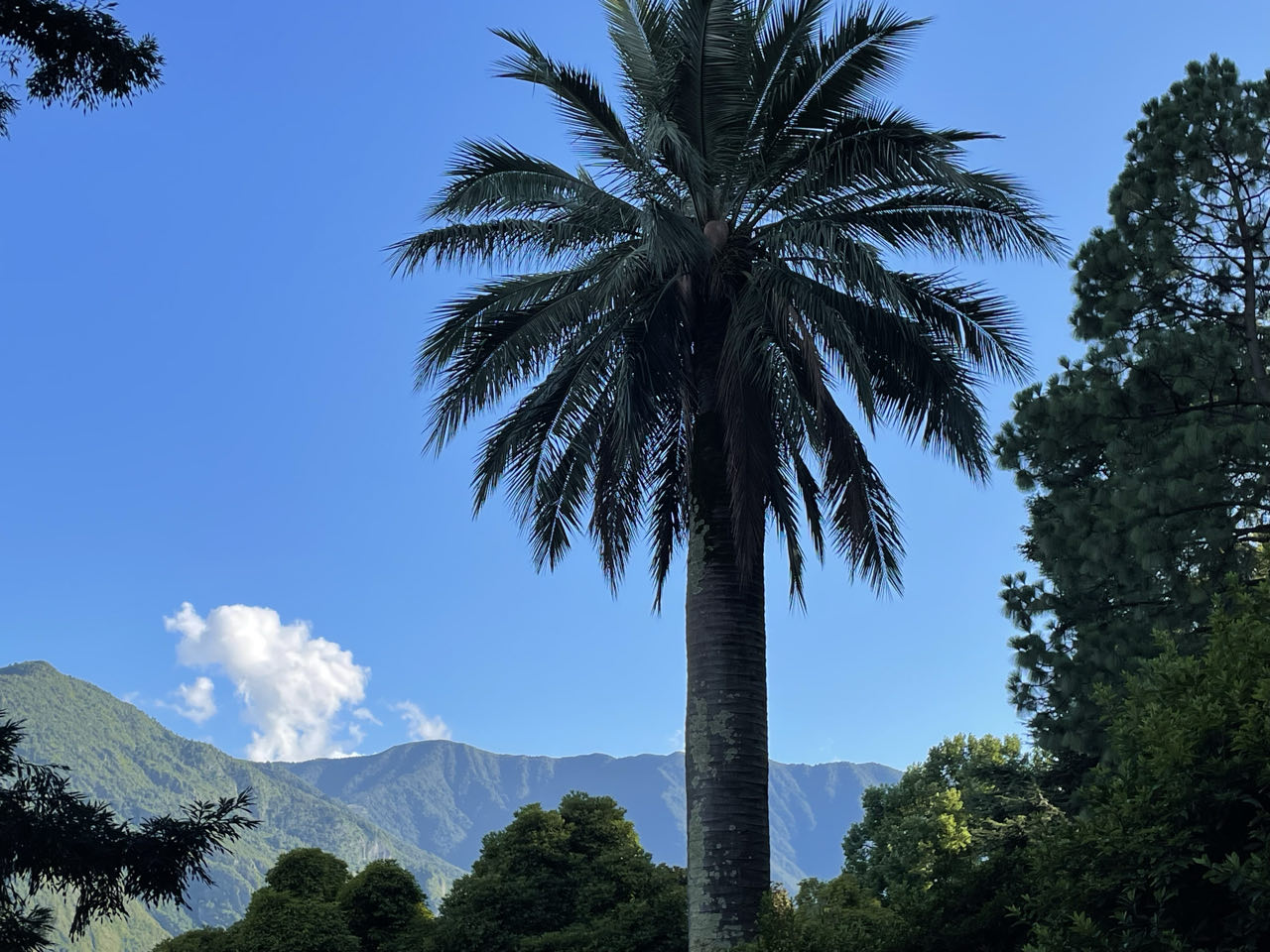 Foto bij Tremezzina