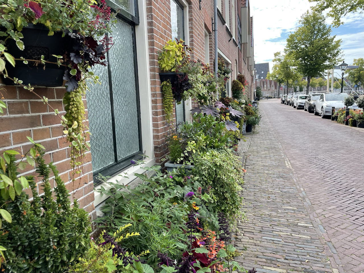 Foto bij Alkmaar