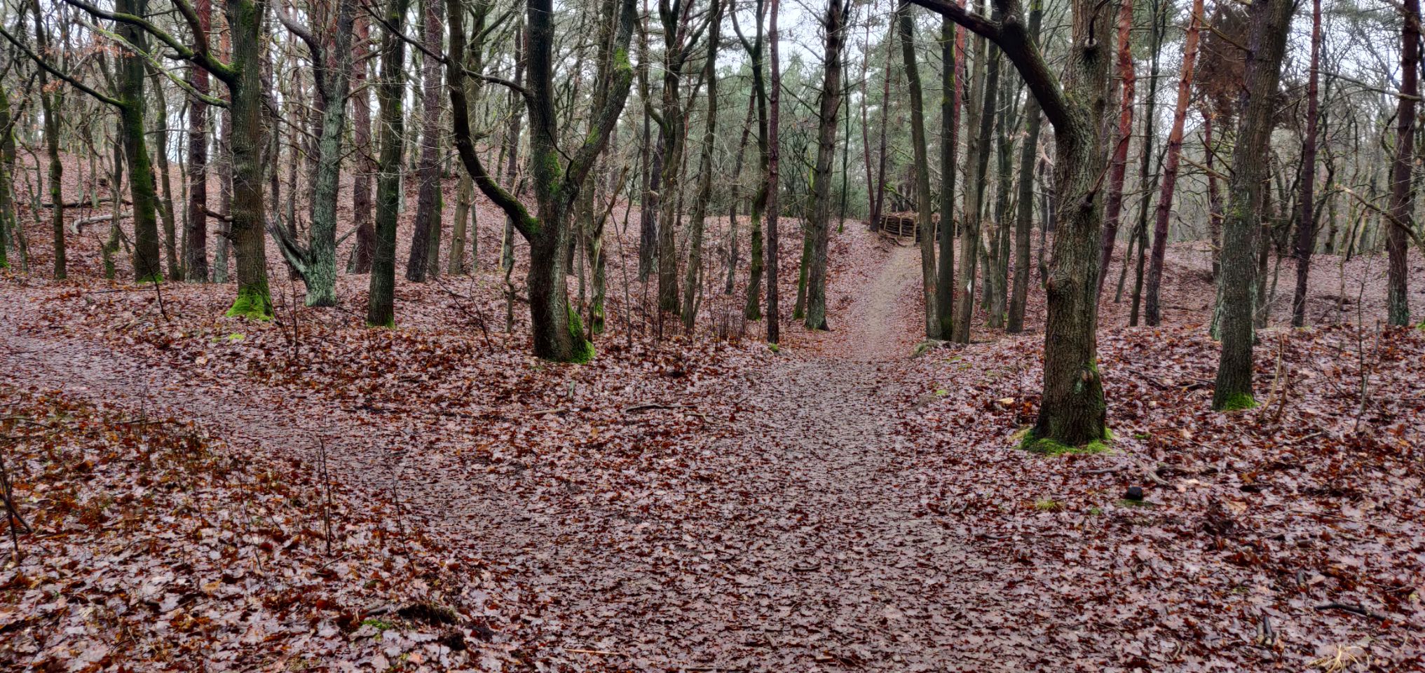 Foto bij Meeuwen-Gruitrode